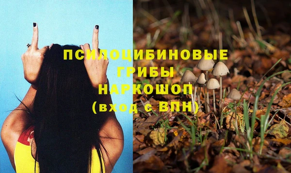 Альфа ПВП Михайловка