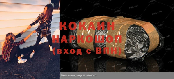 хмурый Анива