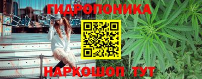 гашиш Гусиноозёрск