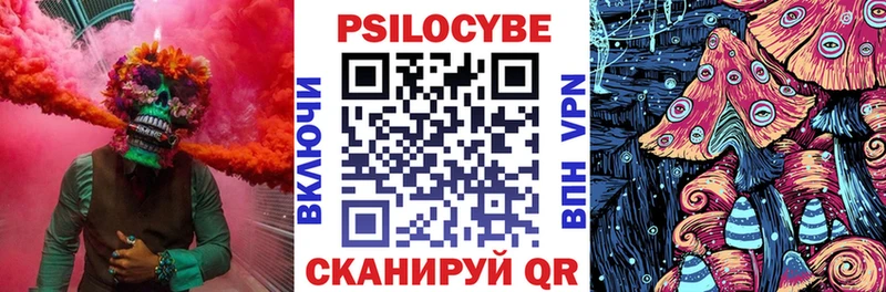 Псилоцибиновые грибы Magic Shrooms  мега зеркало  Махачкала 