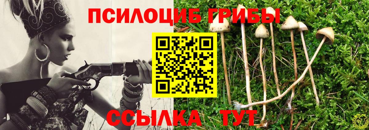 Псилоцибиновые грибы Psilocybine cubensis  Галлюциногенные грибы MAGIC MUSHROOMS  Махачкала 
