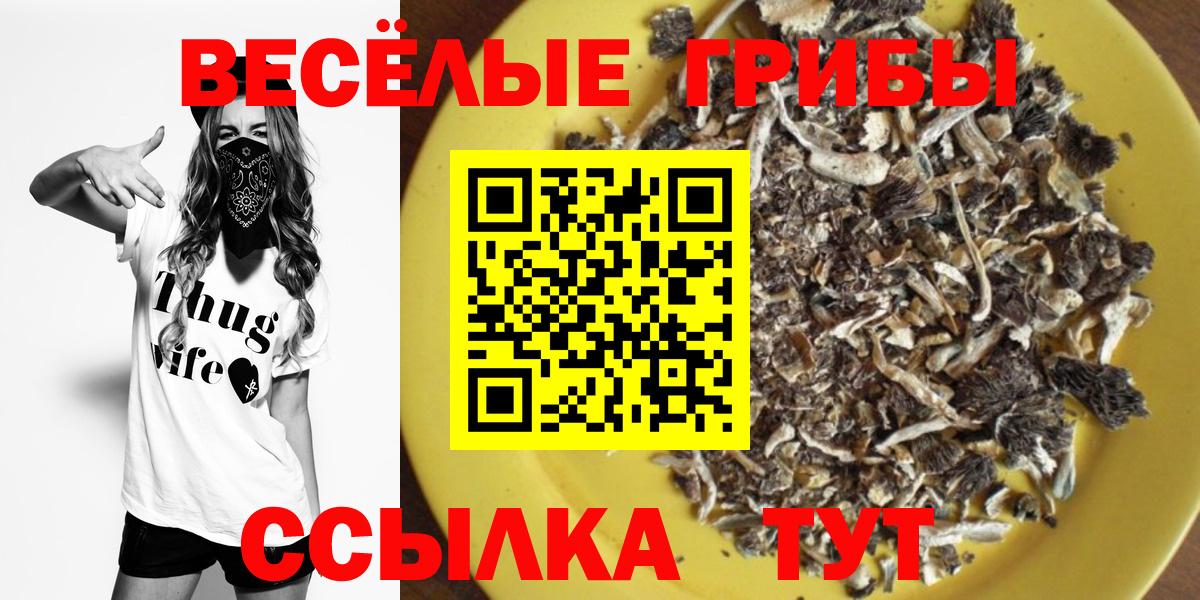 Псилоцибиновые грибы Cubensis  Галлюциногенные грибы Magic Shrooms  Махачкала  сколько стоит  Вход с VPN 