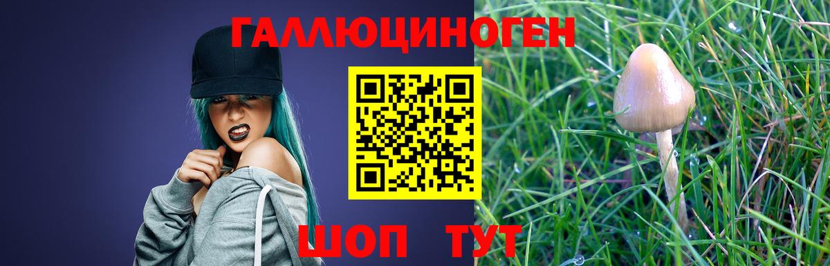 Псилоцибиновые грибы прущие грибы Махачкала